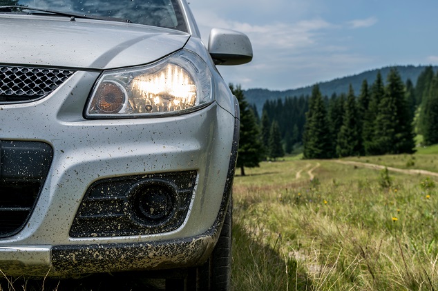 suzuki en montagne